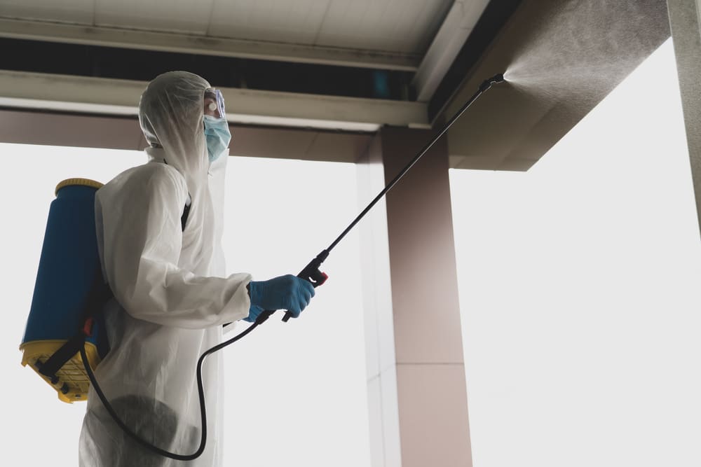 Gevelreiniging Almere met inspectie van wind, gevelmateriaal en aanslag
