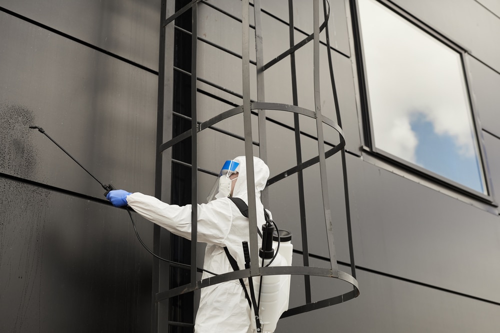 Gevelreiniging New met detailcontrole van gevelranden