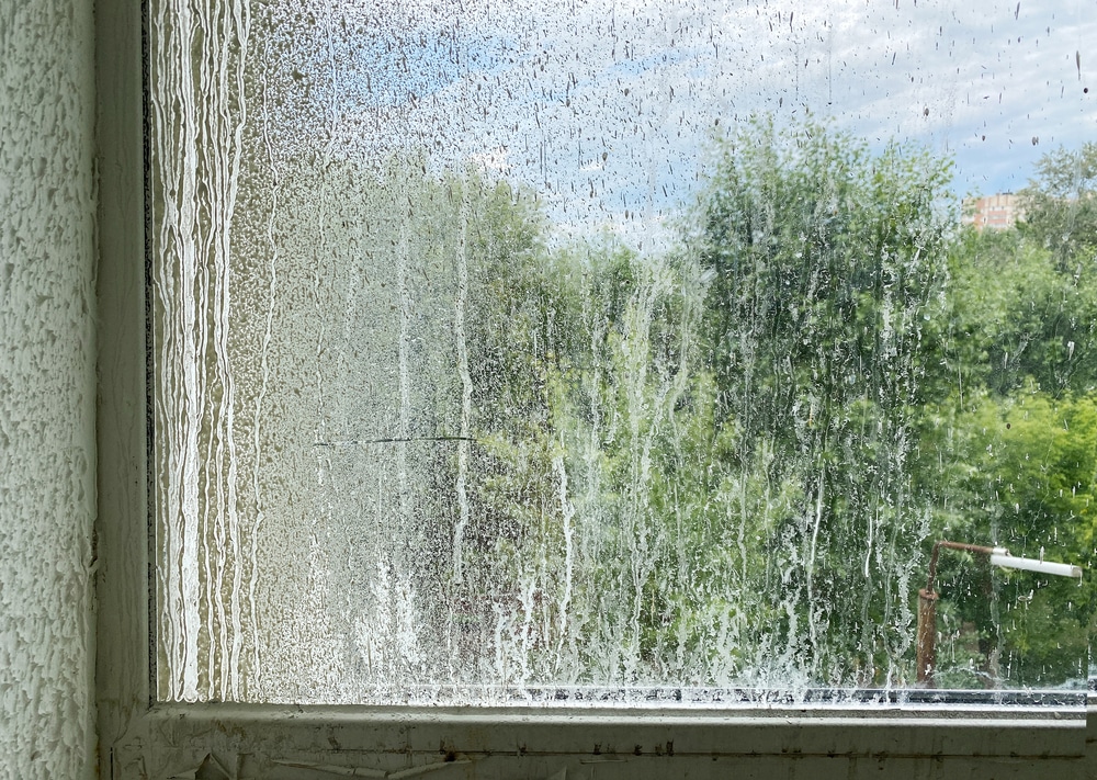 Glazenwasser Amsterdam met controle van glasranden en kozijnen