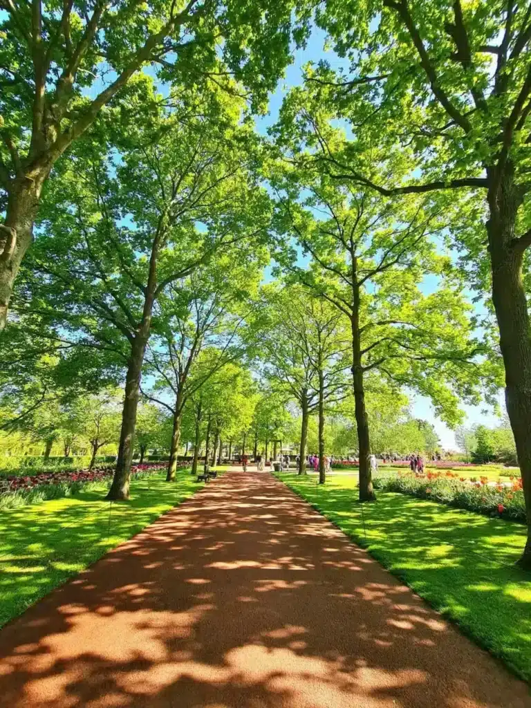 Groenbeheer rond bomen en paden