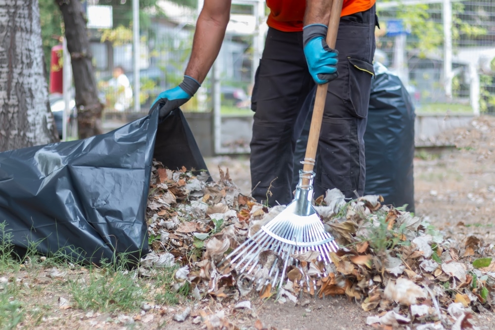 Praktijkbeeld van baliezone bij schoonmaakbedrijf hoorn